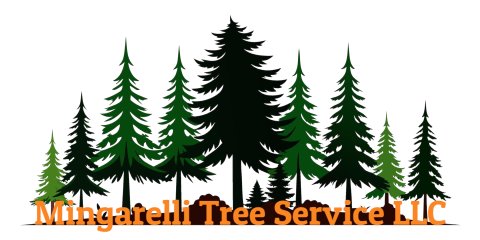 Mingarelli Tree Service